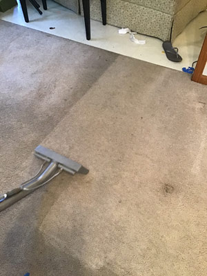 Carpet Cleaning