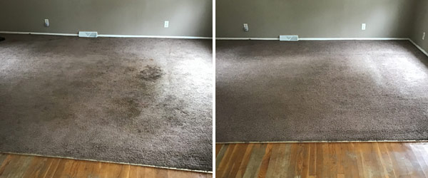 Carpet Cleaning