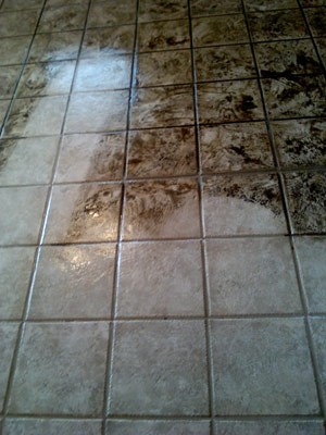 Tile & Grout Cleaning